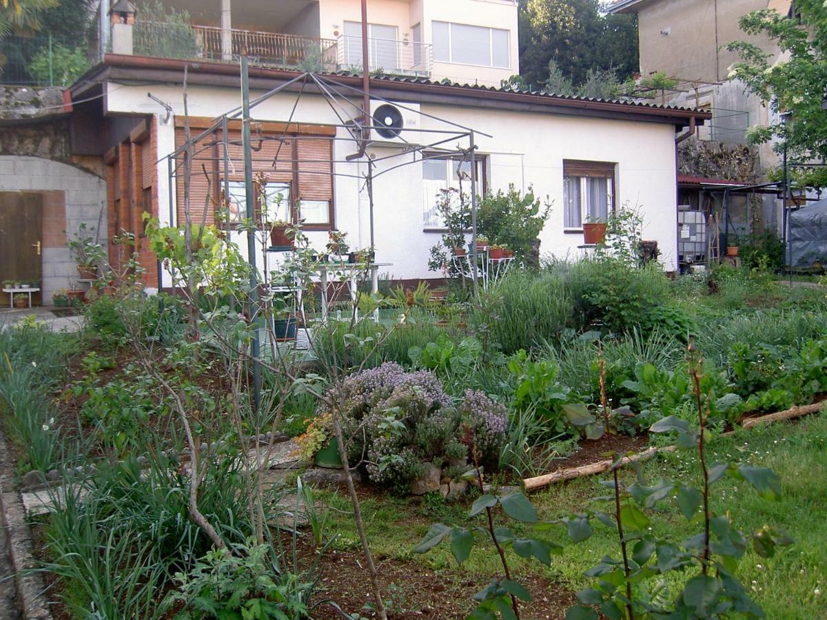 Ferienwohnung Apartman Thea Opatija Exterior foto
